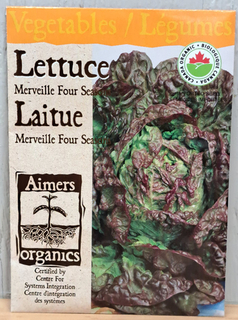 SEEDS - Lettuce Merveille Four Seasons